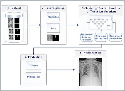 A robust approach for endotracheal tube localization in chest radiographs